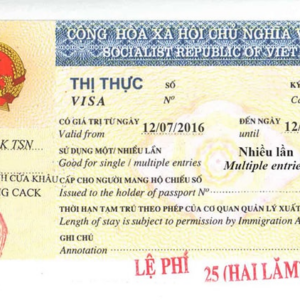 Visa 1 năm nhiều lần cho người nước ngoài nhập cảnh Việt Nam nhiều lần trong thời hạn tối đa 12 tháng